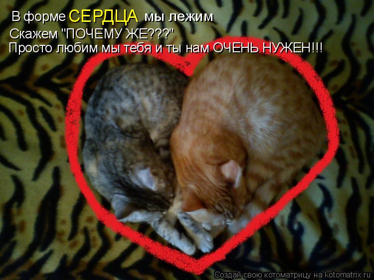В форме Скажем "ПОЧЕМУ ЖЕ???" Просто любим мы тебя и ты нам ОЧЕНЬ НУЖЕН!!! СЕРДЦА мы лежим... Котоматрица: В форме Скажем "ПОЧЕМУ ЖЕ???" Просто любим мы тебя и ты нам ОЧЕНЬ НУЖЕН!!! СЕРДЦА мы лежим