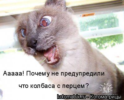 Ааааа! Почему не предупредили что колбаса с перцем?... Котоматрица: Ааааа! Почему не предупредили что колбаса с перцем?