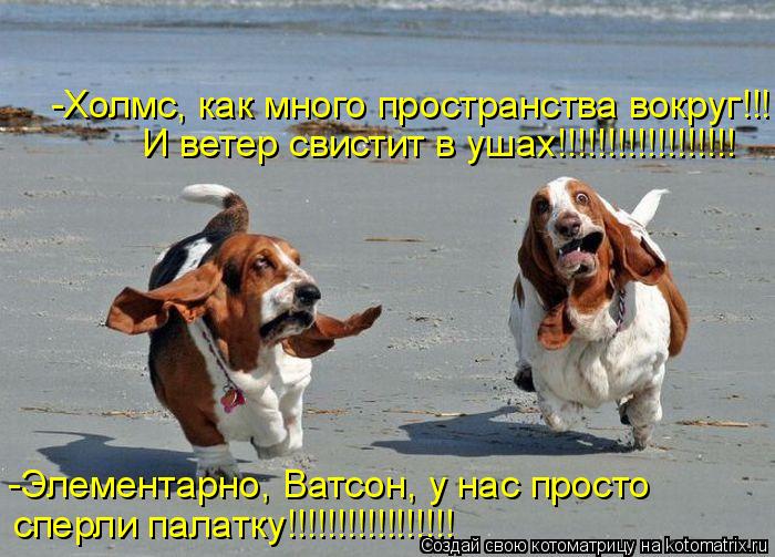 -Элементарно, Ватсон, у нас просто сперли палатку!!!!!!!!!!!!!!!!! -Холмс, как много пространства вок... Котоматрица: -Элементарно, Ватсон, у нас просто сперли палатку!!!!!!!!!!!!!!!!! -Холмс, как много пространства вокруг!!! И ветер свистит в ушах!!!!!!!!!!!!!!!!!!