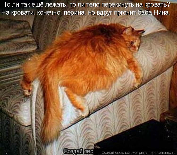 То ли так ещё лежать, то ли тело перекинуть на кровать? На кровати, конечно, перина, но вдруг пргонит... Котоматрица: То ли так ещё лежать, то ли тело перекинуть на кровать? На кровати, конечно, перина, но вдруг пргонит баба Нина.