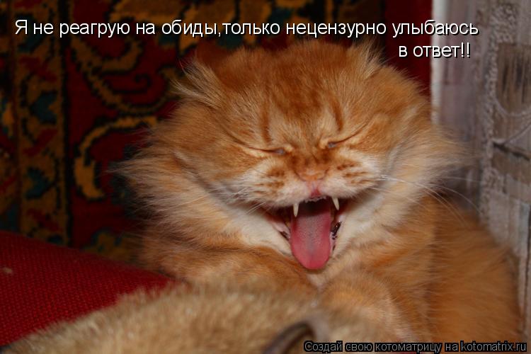 Я не реагрую на обиды,только нецензурно улыбаюсь в ответ!!... Котоматрица: Я не реагрую на обиды,только нецензурно улыбаюсь в ответ!!