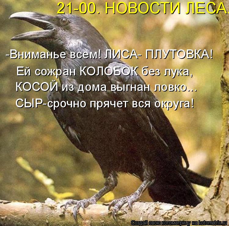 21-00. НОВОСТИ ЛЕСА. -Вниманье всем! ЛИСА- ПЛУТОВКА! Ей сожран КОЛОБОК без лука, КОСОЙ из дома выгна... Котоматрица: 21-00. НОВОСТИ ЛЕСА. -Вниманье всем! ЛИСА- ПЛУТОВКА! Ей сожран КОЛОБОК без лука, КОСОЙ из дома выгнан ловко... СЫР-срочно прячет вся округа!