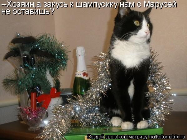 --Хозяин,а закусь к шампусику нам с Марусей не оставишь?... Котоматрица: --Хозяин,а закусь к шампусику нам с Марусей не оставишь?