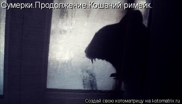 Котоматрица: Сумерки.Продолжение.Кошачий римейк.