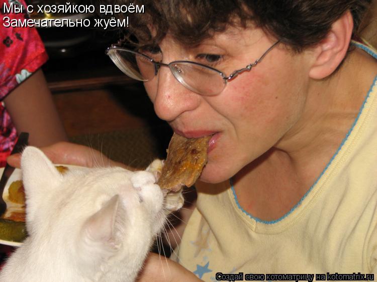 Котоматрица: Мы с хозяйкою вдвоём Замечательно жуём!