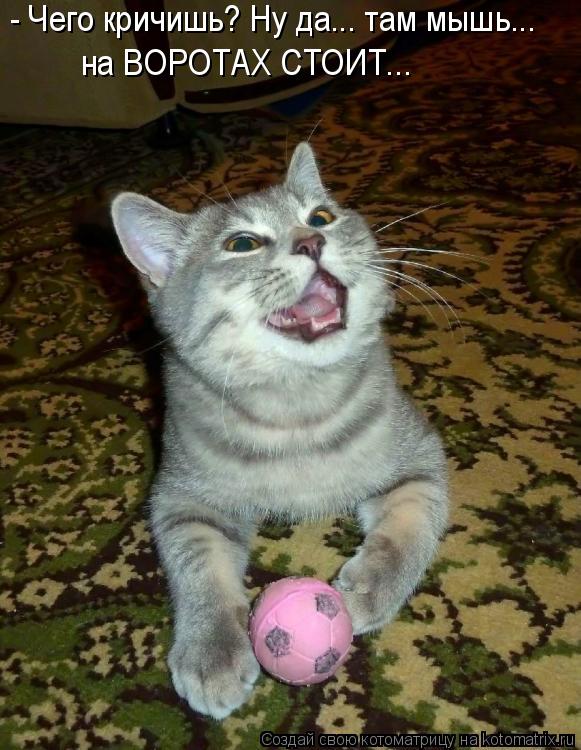 - Чего кричишь? Ну да... там мышь... на ВОРОТАХ СТОИТ...... Котоматрица: - Чего кричишь? Ну да... там мышь... на ВОРОТАХ СТОИТ...