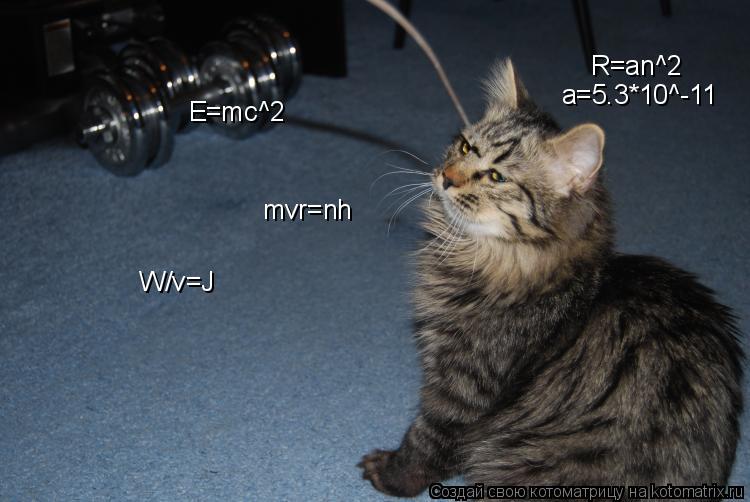 Котоматрица: E=mc^2 mvr=nh R=an^2 a=5.3*10^-11 W/v=J