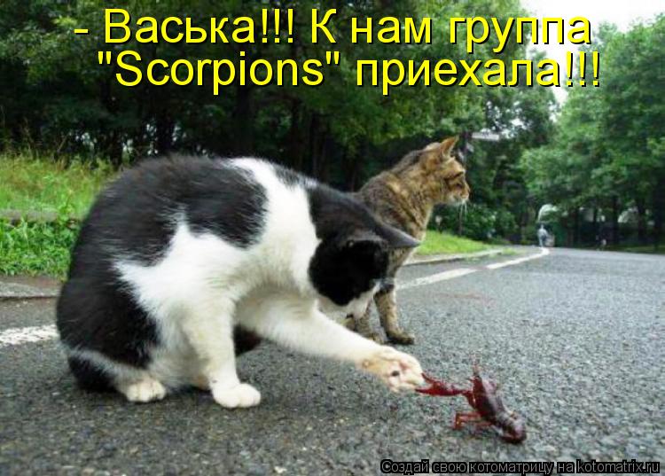 Котоматрица: - Васька!!! К нам группа  "Scorpions" приехала!!!
