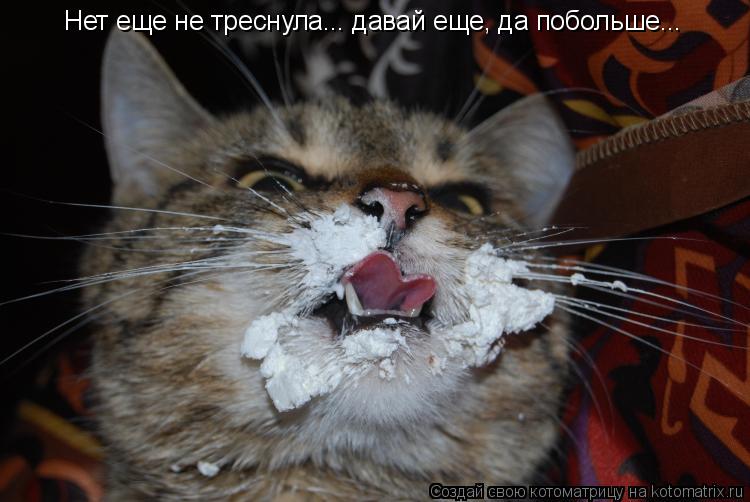 Котоматрица: Нет еще не треснула... давай еще, да побольше...