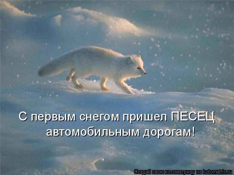 Котоматрица: С первым снегом пришел ПЕСЕЦ автомобильным дорогам!