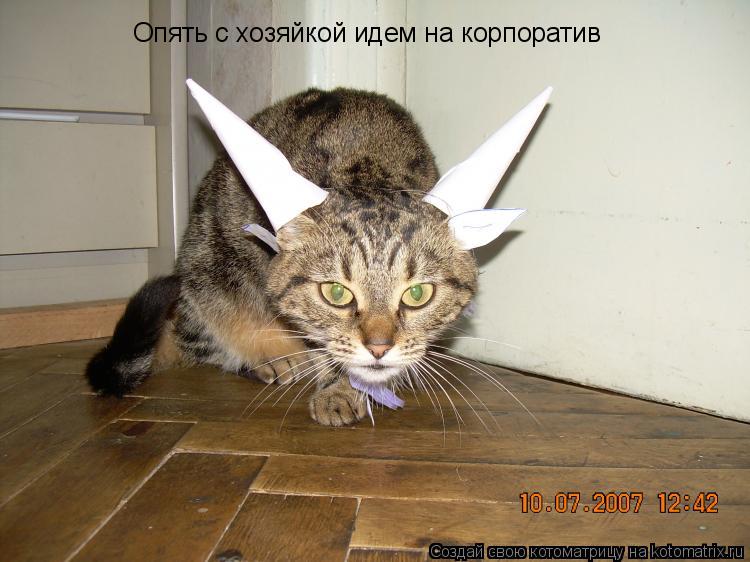 Котоматрица: Опять с хозяйкой идем на корпоратив