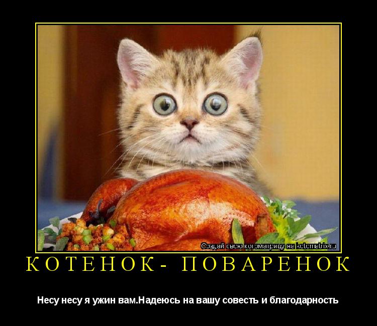 КОТЁНОК- ПОВАРЁНОК Несу несу я ужин вам.Надеюсь на вашу совесть и благодарность... Котоматрица: КОТЁНОК- ПОВАРЁНОК Несу несу я ужин вам.Надеюсь на вашу совесть и благодарность