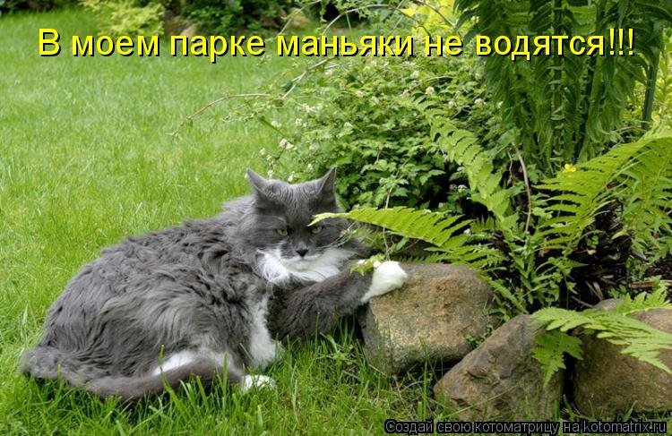 В моем парке маньяки не водятся!!!... Котоматрица: В моем парке маньяки не водятся!!!