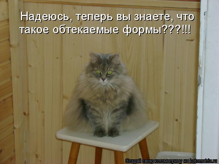 Котоматрица: Надеюсь, теперь вы знаете, что такое обтекаемые формы???!!!
