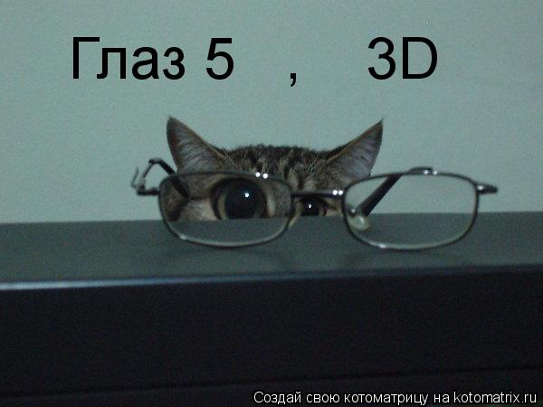 Котоматрица: Глаз 5   ,    3D