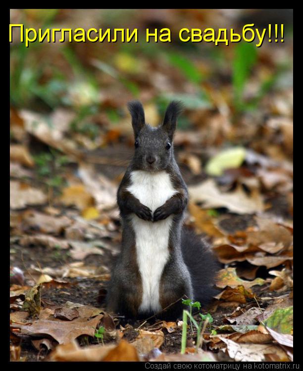 Посмеялся сам - поделись с другом!!!
