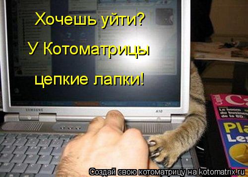 У Котоматрицы Хочешь уйти? цепкие лапки!... Котоматрица: У Котоматрицы Хочешь уйти? цепкие лапки!
