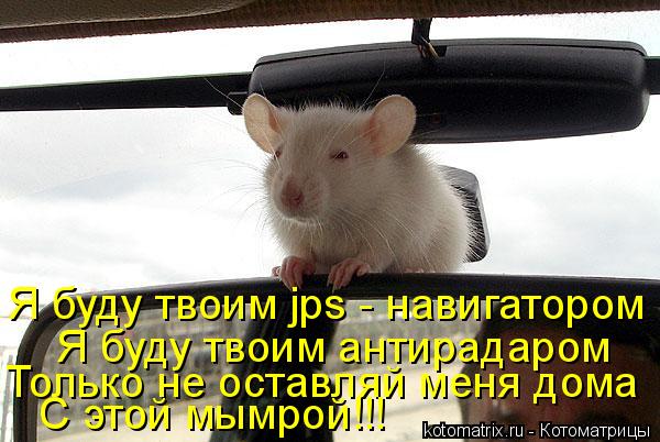 Я буду твоим антирадаром Я буду твоим jps - навигатором Только не оставляй меня дома С этой мымрой!!!... Котоматрица: Я буду твоим антирадаром Я буду твоим jps - навигатором Только не оставляй меня дома С этой мымрой!!!