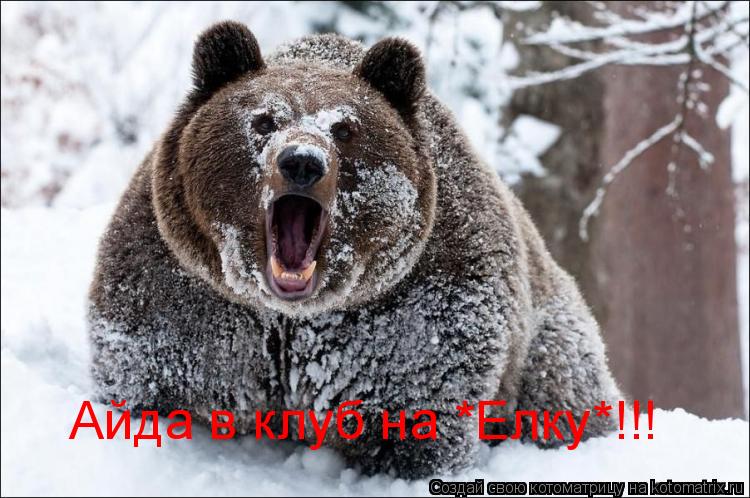 Айда в клуб на *Елку*!!!... Котоматрица: Айда в клуб на *Елку*!!!