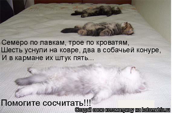 Семеро по лавкам, трое по кроватям, Шесть уснули на ковре, два в собачьей конуре, И в кармане их штук... Котоматрица: Семеро по лавкам, трое по кроватям, Шесть уснули на ковре, два в собачьей конуре, И в кармане их штук пять... Помогите сосчитать!!!