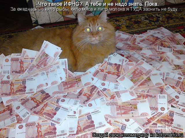 -Что такое ИФНС? А тебе и не надо знать. Пока. За ежедневные кило рыбы, кило мяса и литр молока я ТУ... Котоматрица: -Что такое ИФНС? А тебе и не надо знать. Пока. За ежедневные кило рыбы, кило мяса и литр молока я ТУДА звонить не буду..