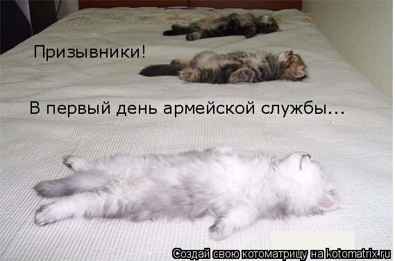 Котоматрица: Призывники!  В первый день армейской службы...