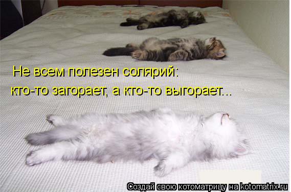 Не всем полезен солярий: кто-то загорает, а кто-то выгорает...... Котоматрица: Не всем полезен солярий: кто-то загорает, а кто-то выгорает...