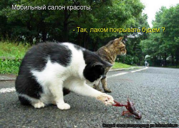 Мобильный салон красоты. - Так, лаком покрывать будем ?... Котоматрица: Мобильный салон красоты. - Так, лаком покрывать будем ?