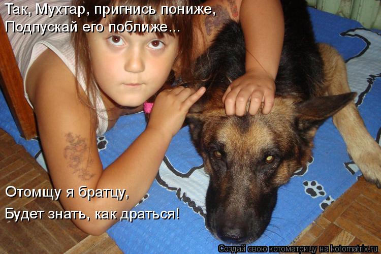 Так, Мухтар, пригнись пониже, Подпускай его поближе... Отомщу я братцу, Будет знать, как драться!... Котоматрица: Так, Мухтар, пригнись пониже, Подпускай его поближе... Отомщу я братцу, Будет знать, как драться!