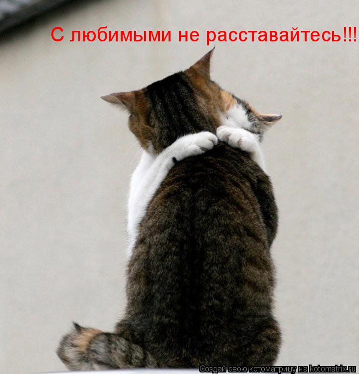 С любимыми не расставайтесь!!!... Котоматрица: С любимыми не расставайтесь!!!