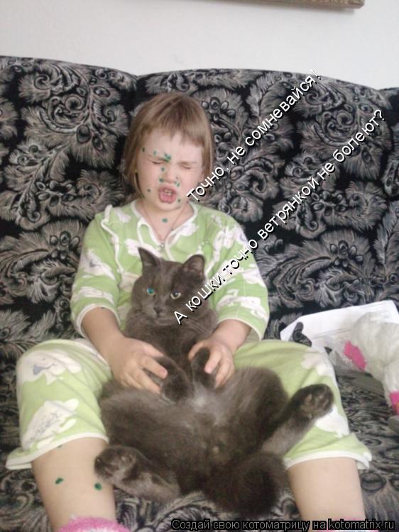 Котоматрица: А кошки точно ветрянкой не болеют? Точно, не сомневайся!