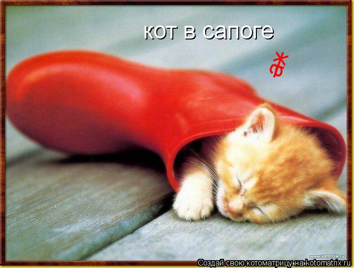 Котоматрица: ах __ кот в сапоге