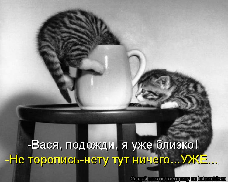 -Вася, подожди, я уже близко! -Не торопись-нету тут ничего...УЖЕ...... Котоматрица: -Вася, подожди, я уже близко! -Не торопись-нету тут ничего...УЖЕ...