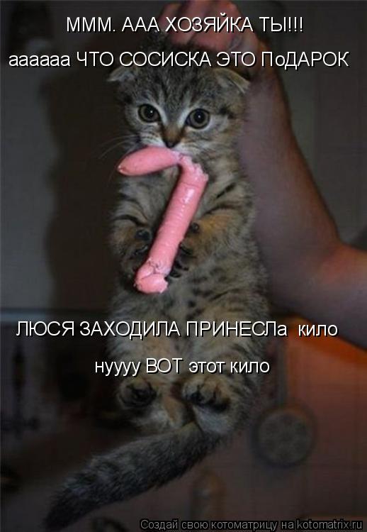 Котоматрица: МММ. ААА ХОЗЯЙКА ТЫ!!!  аааааа ЧТО СОСИСКА ЭТО ПоДАРОК  ЛЮСЯ ЗАХОДИЛА ПРИНЕСЛа  кило нуууу ВОТ этот кило