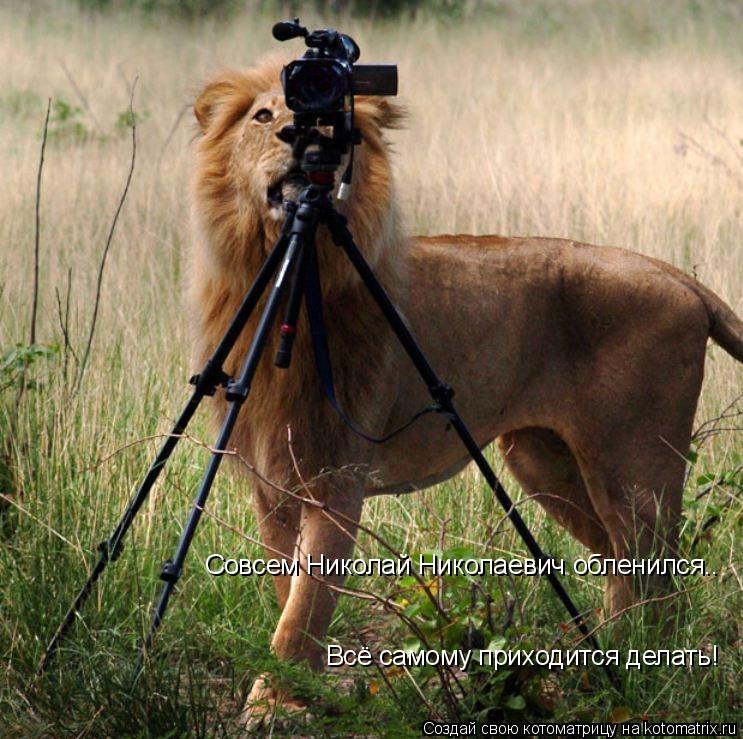 Котоматрица: Совсем Николай Николаевич обленился.. Всё самому приходится делать!