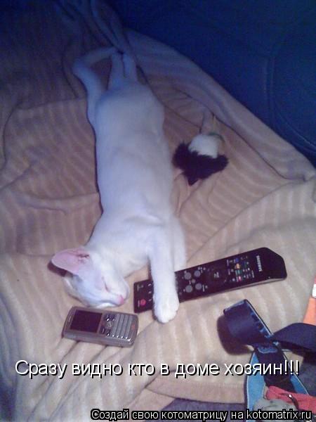 Котоматрица: Сразу видно кто в доме хозяин!!!