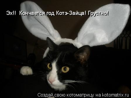 Котоматрица: Эх!!  Кончается год Котэ-Зайца! Грустно!