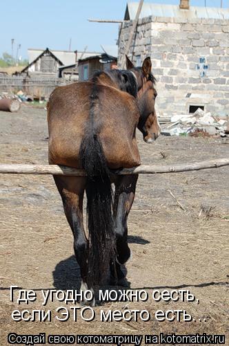 Котоматрица: Где угодно можно сесть, если ЭТО место есть...