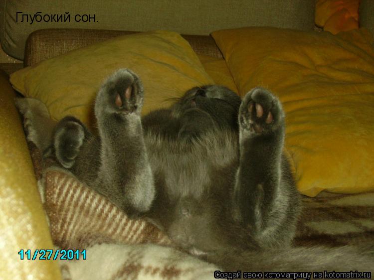 Котоматрица: Глубокий сон. Глубокий сон.