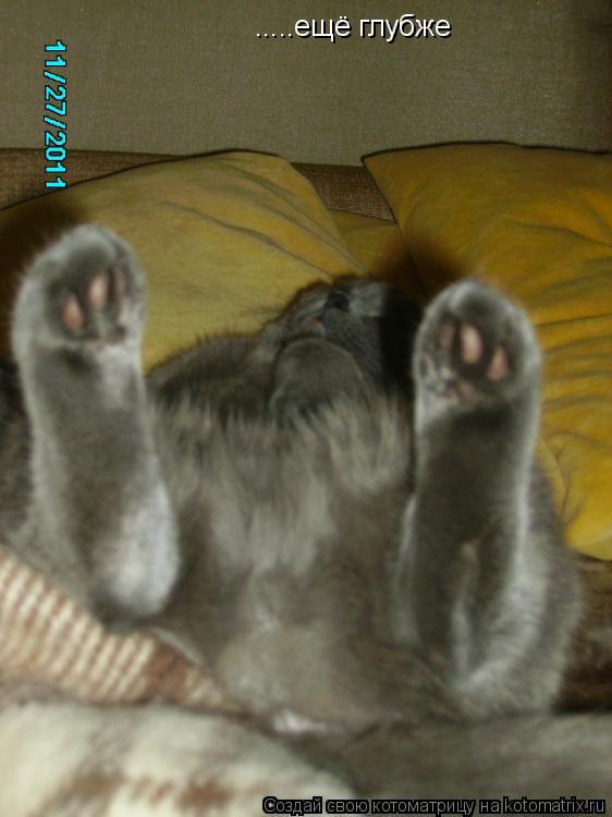 Котоматрица: .....ещё глубже .....ещё глубже