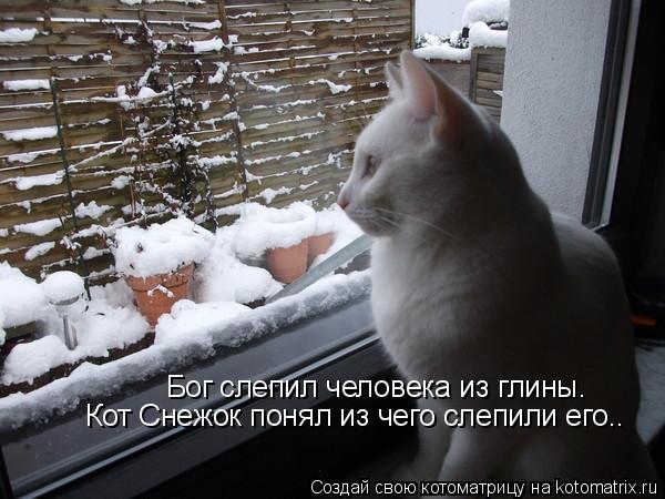 Котоматрица: Бог слепил человека из глины. Кот Снежок понял из чего слепили его..