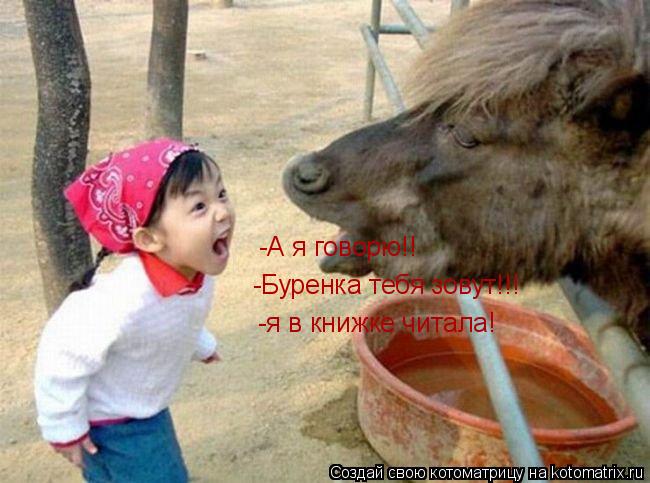 Котоматрица: -А я говорю!! -Буренка тебя зовут!!! -я в книжке читала!