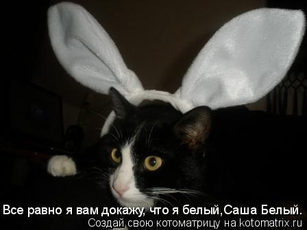Котоматрица: Все равно я вам докажу, что я белый,Саша Белый.