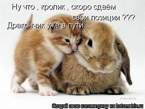 Котоматрица: Ну что , кролик , скоро сдаём свои позиции ???  Дракончик уже в пути ...