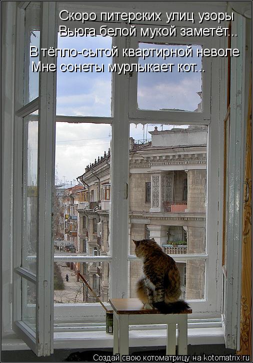Котоматрица: Скоро питерских улиц узоры Вьюга белой мукой заметёт... В тёпло-сытой квартирной неволе Мне сонеты мурлыкает кот...