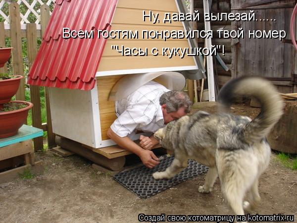 Котоматрица: Ну, давай вылезай...... Всем гостям понравился твой номер "Часы с кукушкой"!