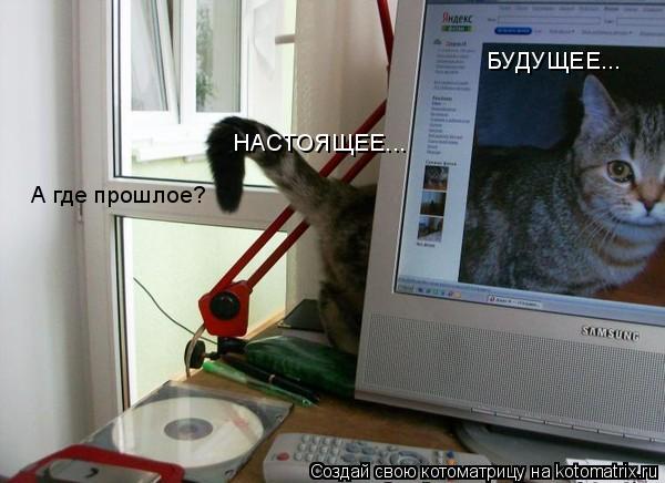 Котоматрица: БУДУЩЕЕ... НАСТОЯЩЕЕ... А где прошлое?