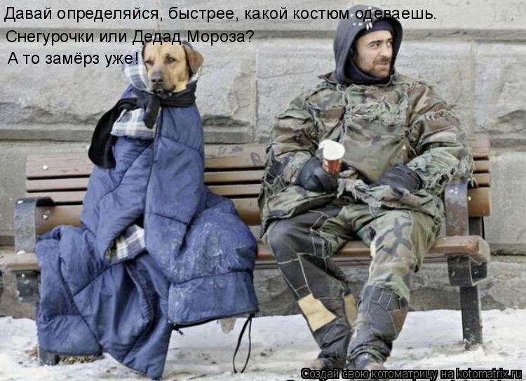 Котоматрица: Снегурочки или Дедад Мороза? Давай определяйся, быстрее, какой костюм одеваешь. А то замёрз уже!