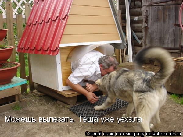 Котоматрица: Можешь вылезать. Теща уже уехала