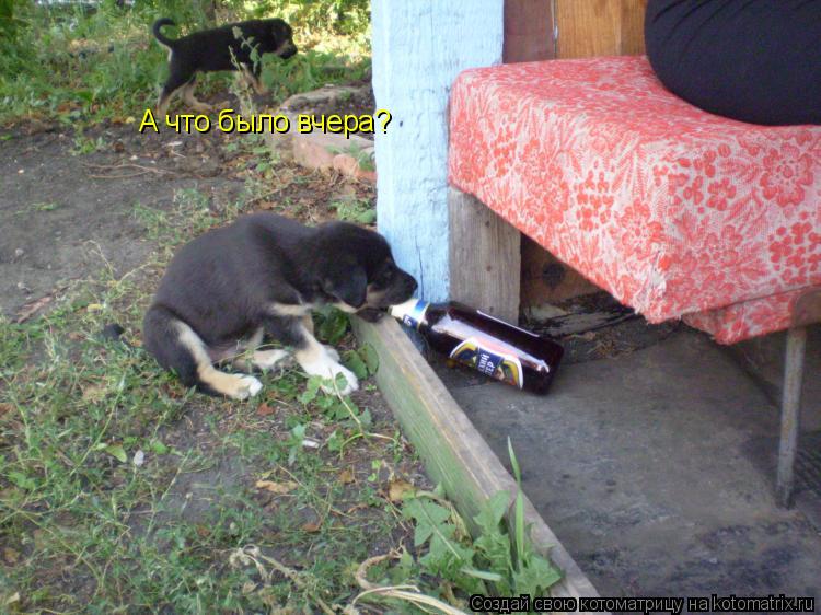 Котоматрица: А что было вчера?